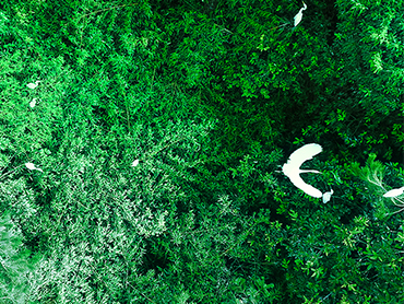 “宛如一幅畫(huà)卷”，走進(jìn)園林級(jí)產(chǎn)業(yè)園——圣澳威斯